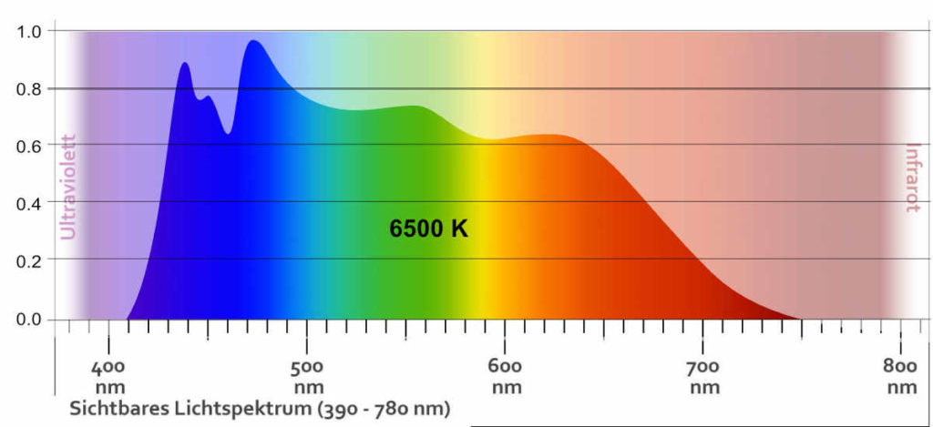 Lichtspektrum 6500K Thrive